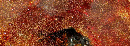 Simply Pink от Pink Sugar, edt