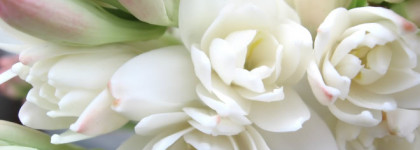 Cosmic Radiance Britney Spears, edp