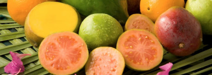 Believe Britney Spears, edp