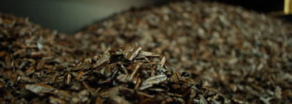 Парфюмы с запахом костра и гари