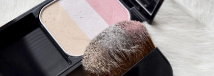 Что за..? Shiseido Face Color Enhancing Trio PK1