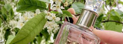 Peace, Love and Juicy Couture - аромат липы