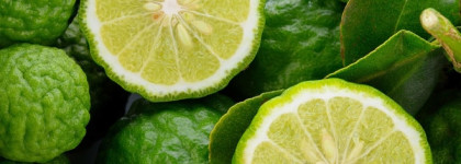 Tommy Now for him by Tommy Hilfiger, edt