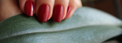 Мое красное счастье от EL