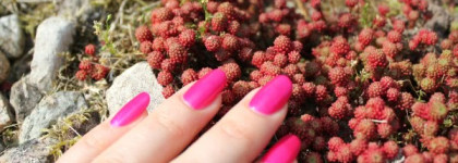 Очередной любимчик от Estee Lauder