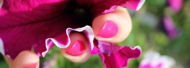 Очередной любимчик от Estee Lauder