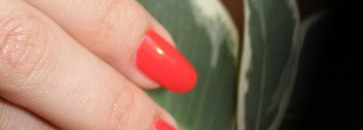 Огненное солнце Ривьеры