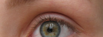 Удачные пробы: тушь для ресниц Max Factor False Lash Effect Full Lashes Natural Look Mascara