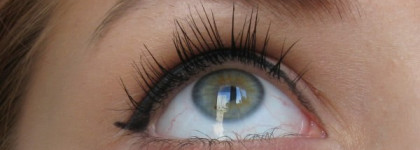 Удачные пробы: тушь для ресниц Max Factor False Lash Effect Full Lashes Natural Look Mascara