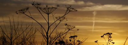 Edgardio Chilini Private Kenya & Le Bois de Boulogne