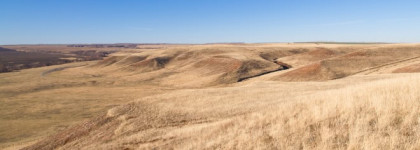 Edgardio Chilini Private Kenya & Le Bois de Boulogne