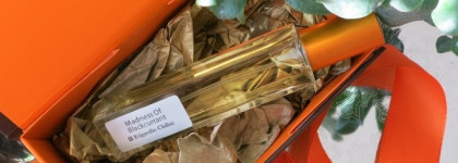 Edgardio Chilini Olifactorium Madness of Blackcurrant - Черная смородина