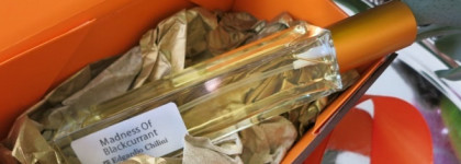 Edgardio Chilini Olifactorium Madness of Blackcurrant - Черная смородина