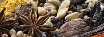 Edgardio Chilini Olifactorium Languor In Passions - Томление в страстях