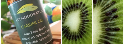 Edenodoratus Carrier oil - Blackcurrant Seed, Kiwi Fruit Seed & Andiroba