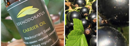 Edenodoratus Carrier oil - Blackcurrant Seed, Kiwi Fruit Seed & Andiroba