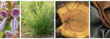 Edgardio Chilini Privat Vicky Cristina Barcelona