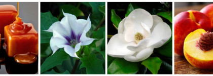 Edgardio Chilini Privat Vicky Cristina Barcelona