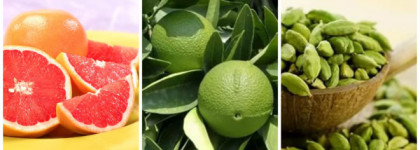 Edgardio Chilini Olifactorium Strawberry Ecstasy