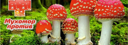 Венец Сибири, Мухомор против - наши жгут :)