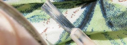 Posh Hybrid Gel System #221