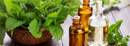 Edgardio Chilini  - осенне-зимний хит-парад