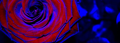 Edgardio Chilini Frida и Lambrusco