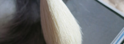 Кисти M.Art - более 80 лет на рынке