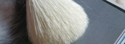 Кисти M.Art - более 80 лет на рынке