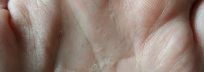 Bielenda Camellia Oil Luxurious Face Wash Oil