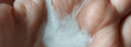 Bielenda Camellia Oil Luxurious Face Wash Oil