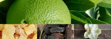 Darphin 8-Flower Golden Nectar - обновление легенды