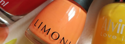 Каждый Охотник Желает Знать, Где Сидит Фазан