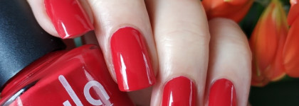 Каждый Охотник Желает Знать, Где Сидит Фазан