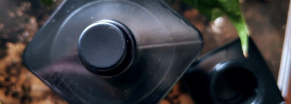 Rouge Bunny Rouge Silvan - осень в лесу