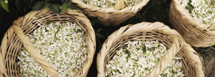 Givenchy L'Interdit Edition Millesime Eau de Parfum - 50 мл Счастья