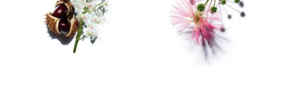 Clarins Total Eye Lift Lift-replenishing eye concentrate