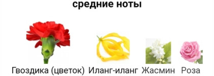 Люблю и ненавижу - Красная Москва и Красная Москва Лайт