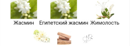 Aerin Lauder Ikat Jasmine - осенние цветы