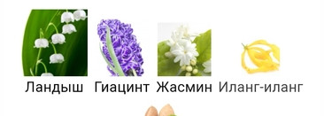 Frederic Malle Synthetic Jungle - Парфюмерный сингл "Аватара"