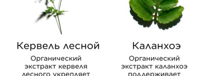 Clarins Double Serum Eye