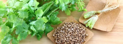 АФ Тургеневская Эфирные масла - полупарфюмерный опыт