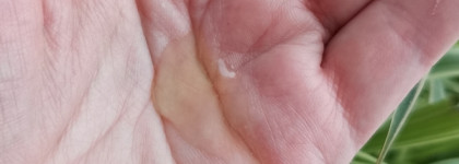 Cebreva Lab - новый бренд от дерматолога