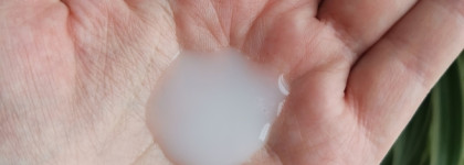 Barex Contempora Hair Superfood Шампунь и Спрей для восстановления ломких волос