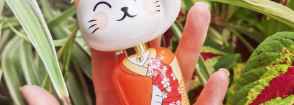 Kokeshi Neko - девочка-кошка, приносящая удачу