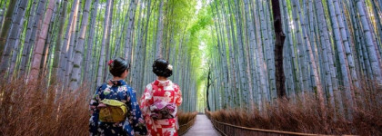 Le Jardin Petrouve Mousse Arashiyama - японский аромат от французского бренда с русскими корнями