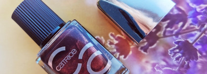 Catrice Brown Collection Nail Laсquer 04 Unmistakable Style - такая шоколадная осень.