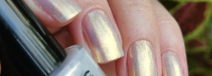 Grattol Follow your heart - солнце на снегу