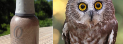 Моя ручная совушка: Orly Nite Owl