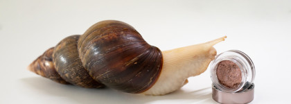 Любимые продукты для теплого макияжа